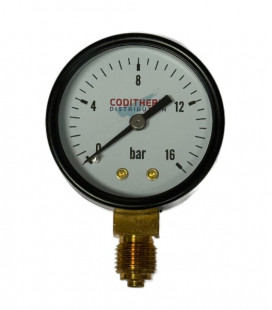 Standard pressure gauge
