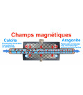 Filtro anticalcare magnetico Lo Power 5200 gauss