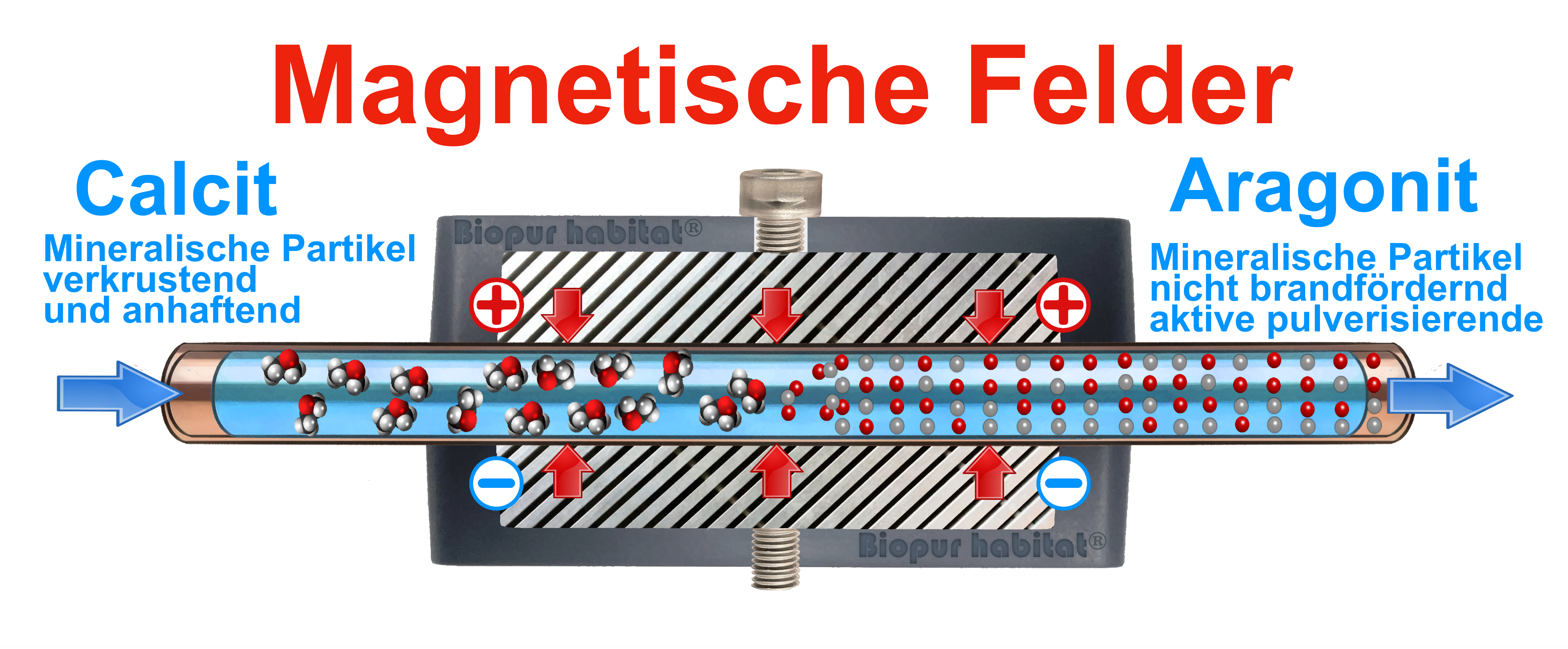 Schema der Funktionsweise des magnetischen Kalkschutzes