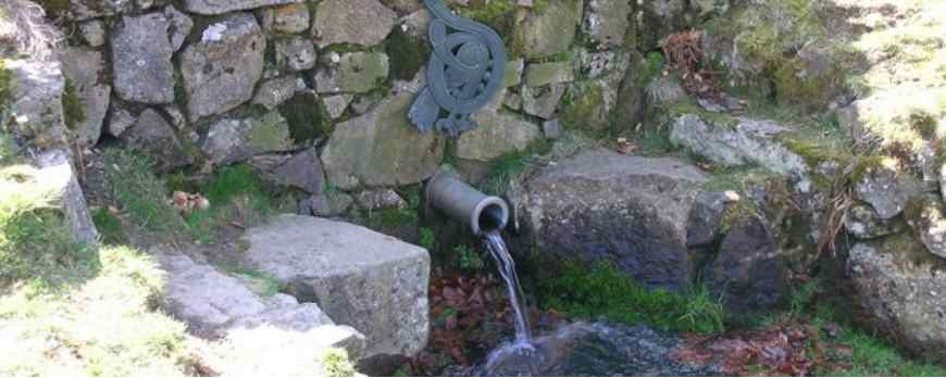 ¿Peligro para la salud del agua del grifo? 